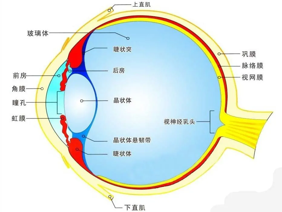 CMOS圖像傳感器技術及新應用