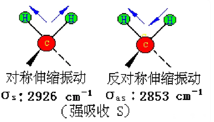 640.webp (5).png
