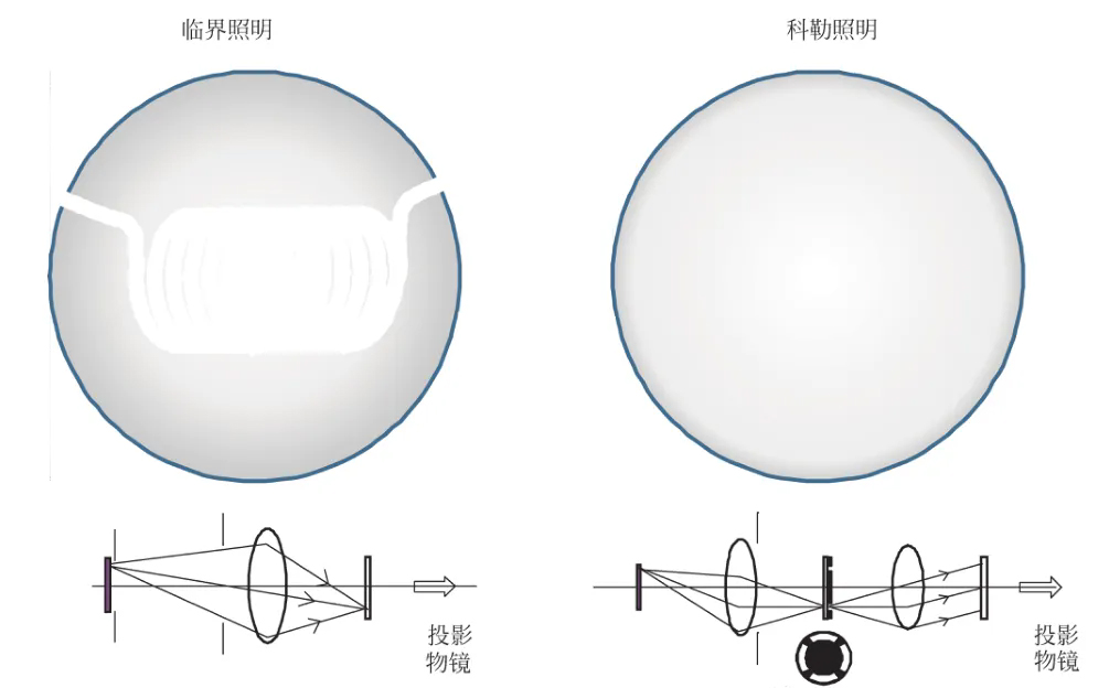 1754620120711742.jpg 640.webp.jpg