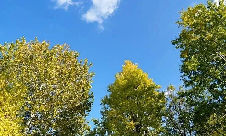 1754899412905367.png 640.webp (2).png