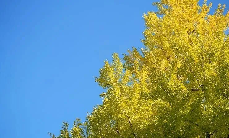 1754899427365429.png 640.webp (3).png