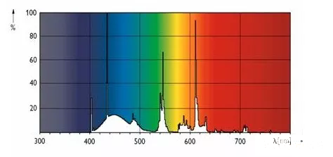 1755827902625766.png 640.webp (3).png