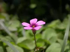 1756093084709861.png 640.webp (3).png