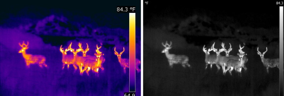 1762481448290065.png df2dfa1a7a8d4e8eacad913b0a925583.png